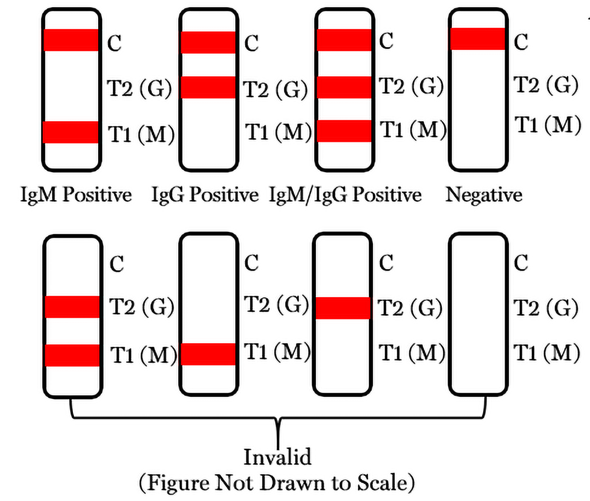 COVID-19 Rapid Test Results Interpretation